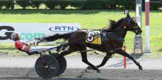 more-two-year-old-winners-by-catch-the-fire