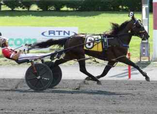 More two-year-old winners by Catch The Fire more-two-year-old-winners-by-catch-the-fire