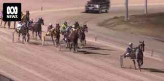 news-17062024-162109