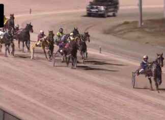 Tasmania’s Office of Racing Integrity Blocks Victorian Trainer from Racing: Urgent Action Taken news-17062024-162109