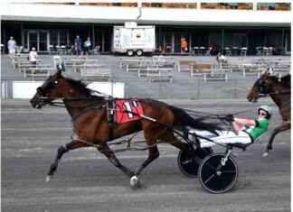 Huntsville Fillies Break Track Record in NYSS Racing news-22062024-044705