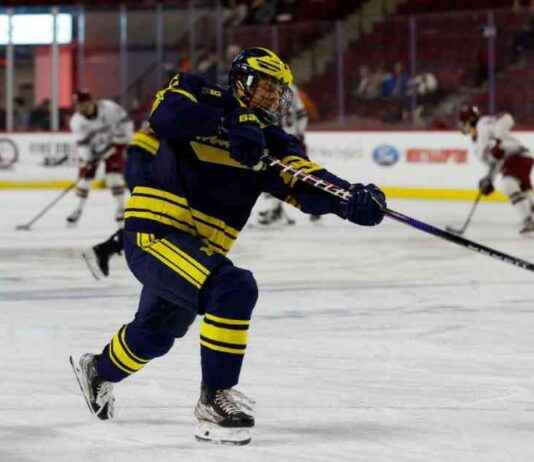 NHL Trade Grades: Analyzing the McGroarty-Yager Swap – ESPN news-23082024-131322