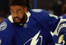 Islanders forward Anthony Duclair sidelined with long-term injury – ESPN news-21102024-202225