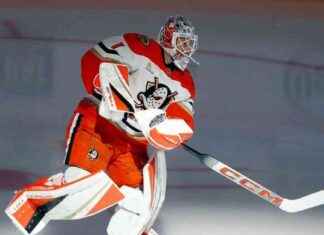 Fantasy Hockey Stock Watch: Players Trending Up and Down in the Current Season news-05112024-225254