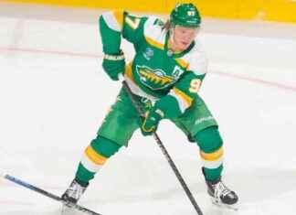 NHL Awards Watch: Leading Candidates for Hart, Norris, Calder – ESPN news-15112024-093949