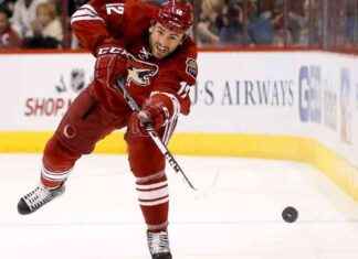 NHL Player Paul Bissonnette Claims Assault in Altercation – ESPN News news-26112024-112203