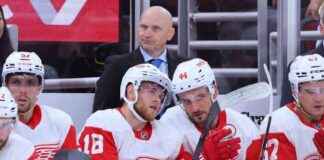 detroit-red-wings-replace-coach-derek-lalonde-with-todd-mclellan