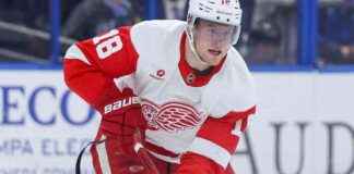 andrew-copp-placed-on-njured-reserve-by-detroit-red-wings