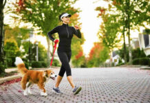 How Athletes and Pet Owners Can Improve Performance and Well-Being How Athletes and Pet Owners Can Improve Performance and Well-Being
