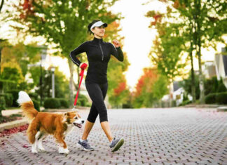 How Athletes and Pet Owners Can Improve Performance and Well-Being How Athletes and Pet Owners Can Improve Performance and Well-Being