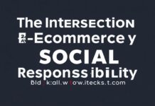 The Intersection of E-commerce and Social Responsibility: A Case Study of BlackHawksJersey.com