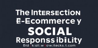 The Intersection of E-commerce and Social Responsibility: A Case Study of BlackHawksJersey.com